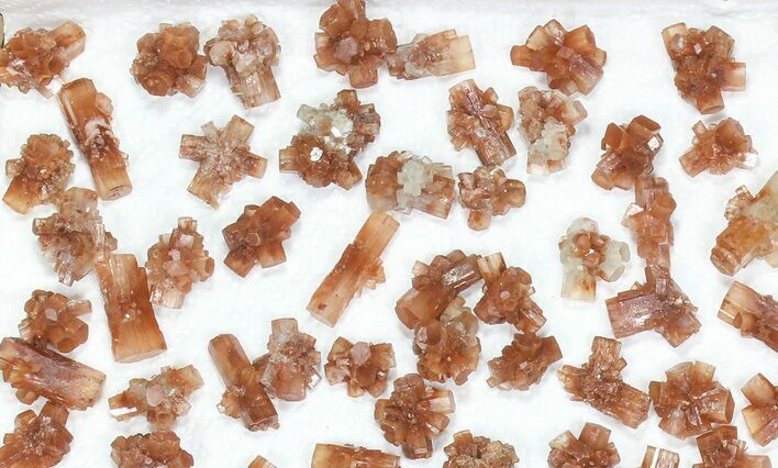 Lot: Small Twinned Aragonite Crystals - Pieces #77161